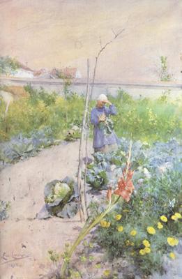 Carl Larsson In the Kitchen Garden (nn2 France oil painting art